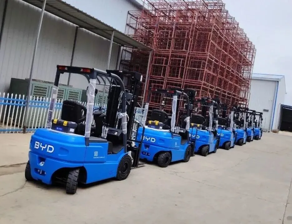 BYD electric forklift fleet at a fruit industry facility